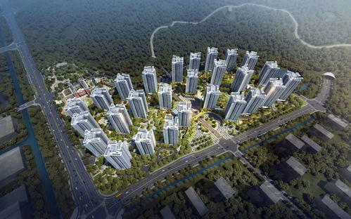 楼市风向急转 先别急着乐 珠海盯紧这个方向,买房才不踩坑