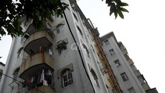 珠海购房全攻略 二手房买卖与租房信息一站式指南——聚焦珠海Q房网